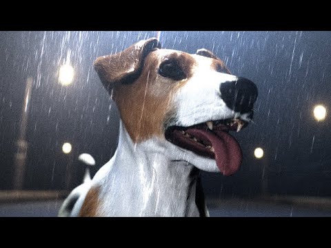 An AMAZING Horror Game Where You Play As An Adorable Puppy! - YouTube