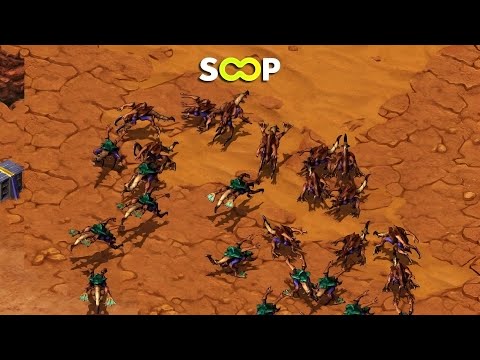 SCSL S3 Ro32 Group E (Shine vs Hyun)