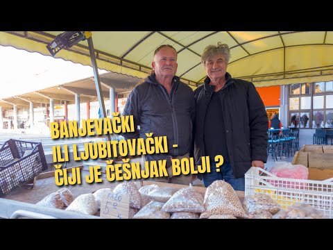 ŠIBENSKI PAZAR #71 "Oni su samo brendirali NAŠ luk!" – Velika rasprava na Šibenskom pazaru.
