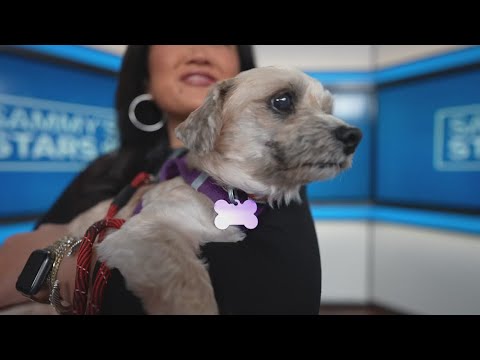 Sammy's Stars: Oct. 23, 2025 - YouTube