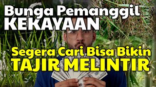 Download lagu AMBIL DAN LANGSUNG BAWA PULANG! 4 Bunga langka yang memiliki tuah kesaktian yang luarbiasa mp3 Download lagu AMBIL DAN LANGSUNG BAWA PULANG! 4 Bunga langka yang memiliki tuah kesaktian yang luarbiasa mp3