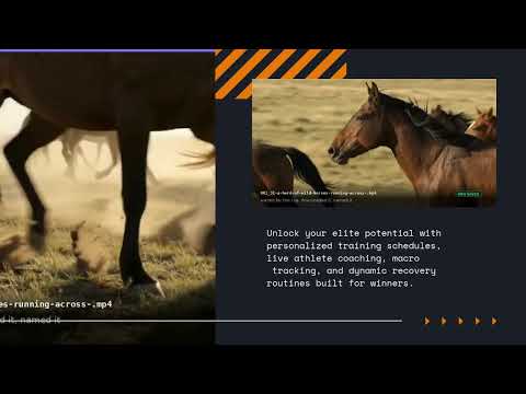 Item video thumbnail