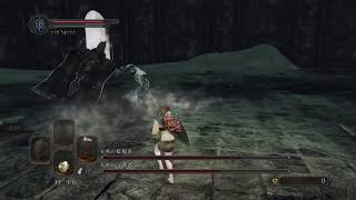 【PS4】【DARK SOULS Ⅱ】sl1 #30 玉座の監視者/守護者