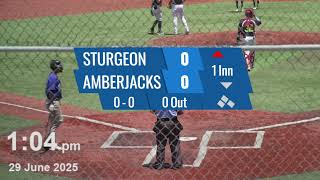 Pecos League Baseball Video