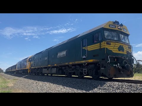 Up 9158 Pacific National loaded grain with G543 G529 at Bannockburn heading to Geelong 5/12/2023
