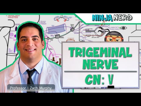Neurology | Trigeminal Nerve: Cranial Nerve V