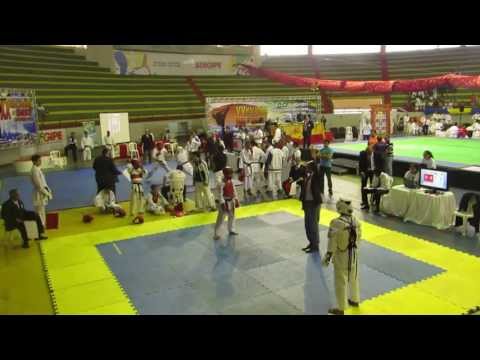 Guilherme Mendes, Semi Final Equipe Karate 2013