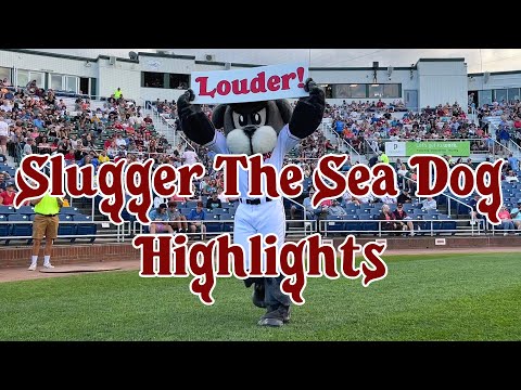 Slugger's Highlights