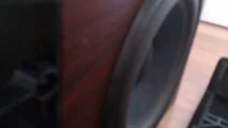 Video thumbnail for Bose 301 series IV only by Neo