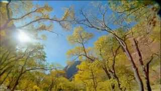 Pushkar - Manamalei
