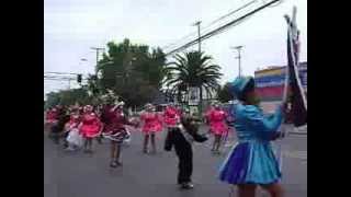 preview picture of video 'ENSAMBLE ANDINO, PARTICIPACION FIESTA SANTA TERESA DE LOS ANDES(2012) QUINTA REGION-CHILE'