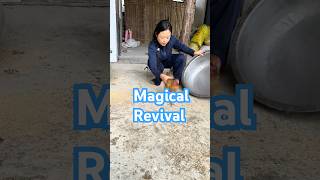 Magic Revival: Watch How This Near-Dead Chicken Comes Back to Life with Just a Pot and Some Taps!