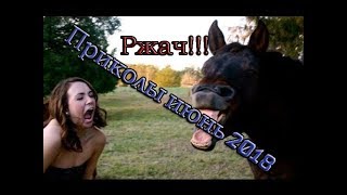 Подборка приколов июнь 2018 16+