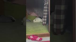 みる