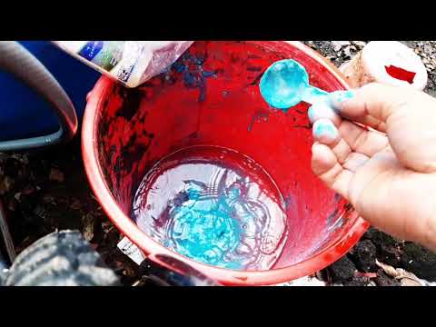 @ Chăm sóc mai vàng phun phòng  sâu bệnh cho cây mai.