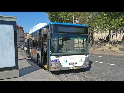 STCP 3232 - Linha 801