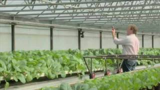 how to become a research and development director - zippia