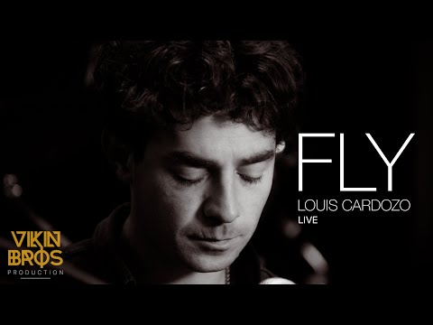 Louis Cardozo FLY-4K VikinBros Production