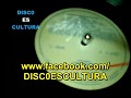 Ziggy Marley ♦ Pains Of Life (subtitulos español) Vinyl rip