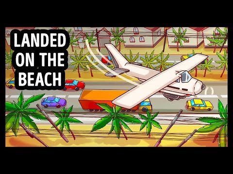 4人のパイロットが路上着陸に成功しました (4 Pilots Who Managed to Land Right On the Road)