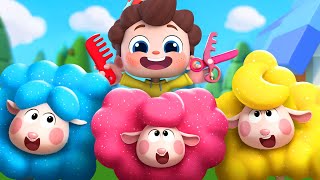 Little Sheep's First Haircut | Baa Baa Black Sheep | Nursery Rhymes & Kids Songs | BabyBus