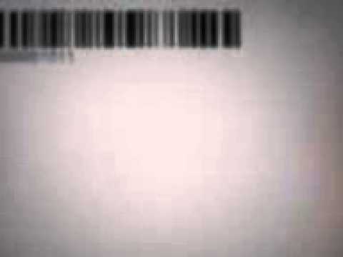 Barcode Print Preview