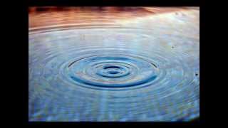 Proyecto 366 . 2012 Marzo.   Antony and the Johnsons - Soft black stars