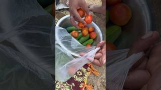 Download lagu Our Picnic in River side #ytshorts #newyear #picnic mp3