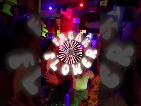 Freak Flower 2022/2023 - promo