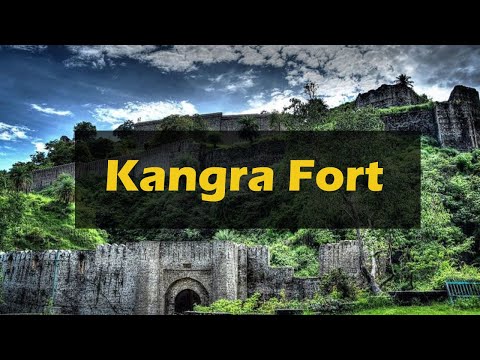 Videos from India Highlight