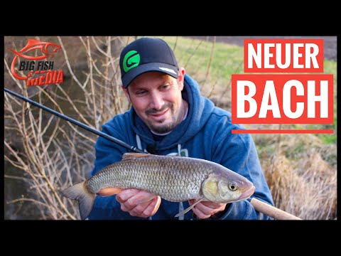 Neuer Bach neues Glück?! | Angeln mit Christian