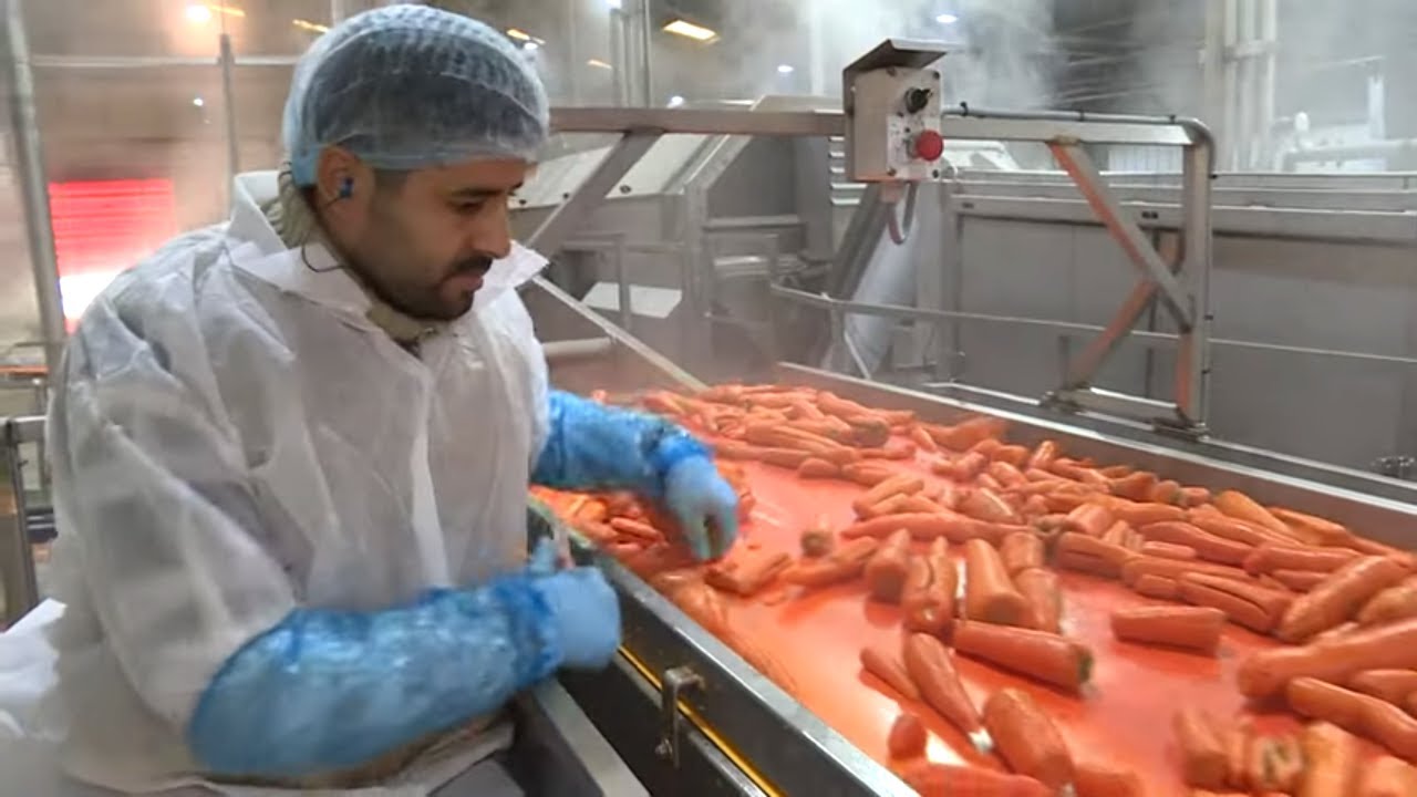 Les surgelés, amis ou ennemis ?