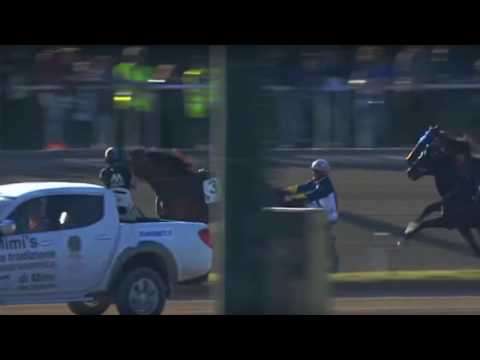 01-05-2017 Gran Premio Lotteria di Agnano Ippodromo di Napoli