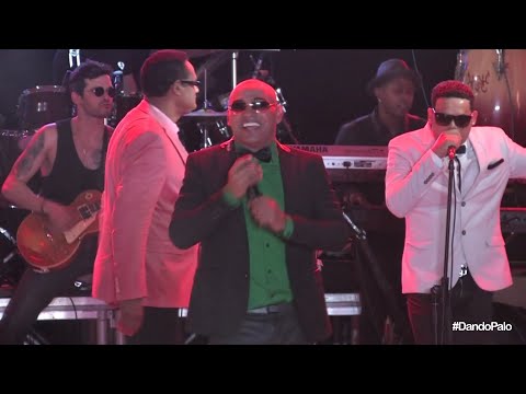 El que este que tumbe - Manolin El Médico de la Salsa (Concierto en La Cecilia) | Tato Cuban DJ