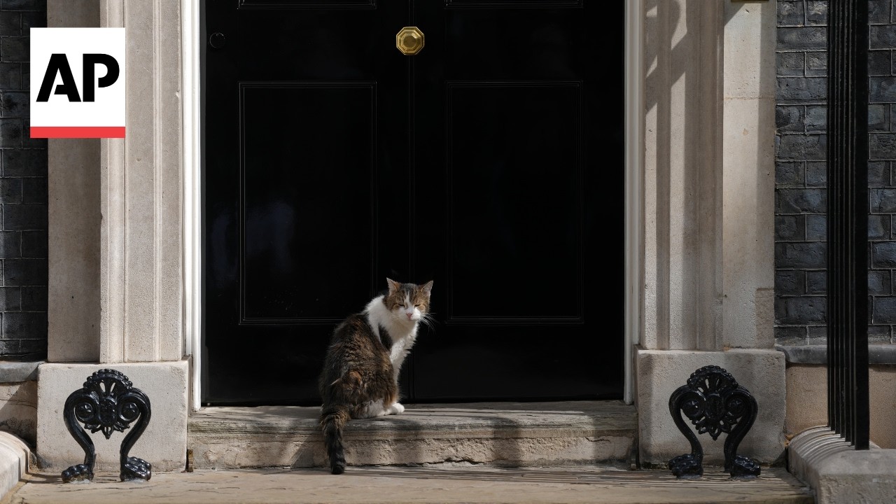 Larry the cat meets new UK Prime Minister Andy Burnham