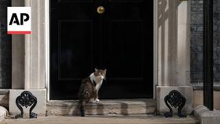 Larry the cat meets new UK Prime Minister Andy Burnham