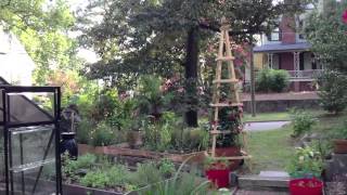 A Quick Tour of the Garden