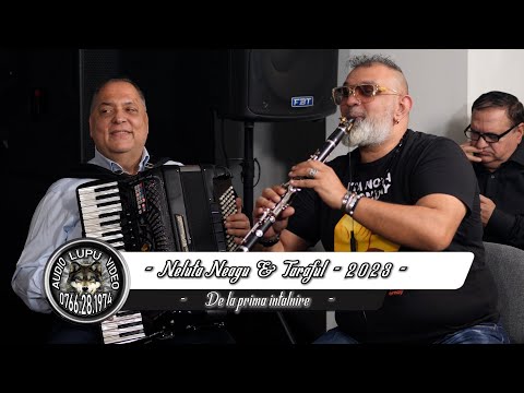 Neluta Neagu - De la prima intalnire  - (Fulgerica, Cristinel, Bebe, Marius, Vali & Argintu viu)