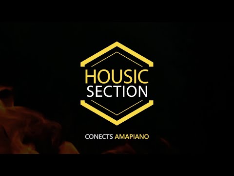 HOUSIC SECTION - Dj Edilson