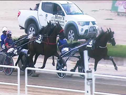 Trotto 22/06/2019 - 4ª corsa