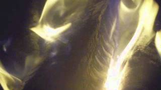 DOKKEN Unchain the  Night live beast from the east album