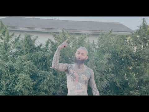 Really High Video ( Dark Cappa Part Only)