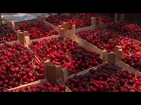 Hrvatska poništava pravilnik - takse na uvoz voća i povrća se vraćaju na staro