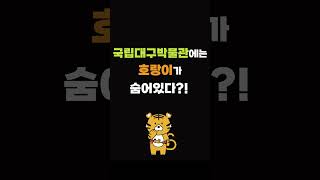 [홍보] 국립대구박물관에는 호랑이가 숨어있다?!？？？？ 이미지