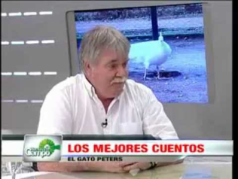 EL GATO PETERS (04/05/2013)