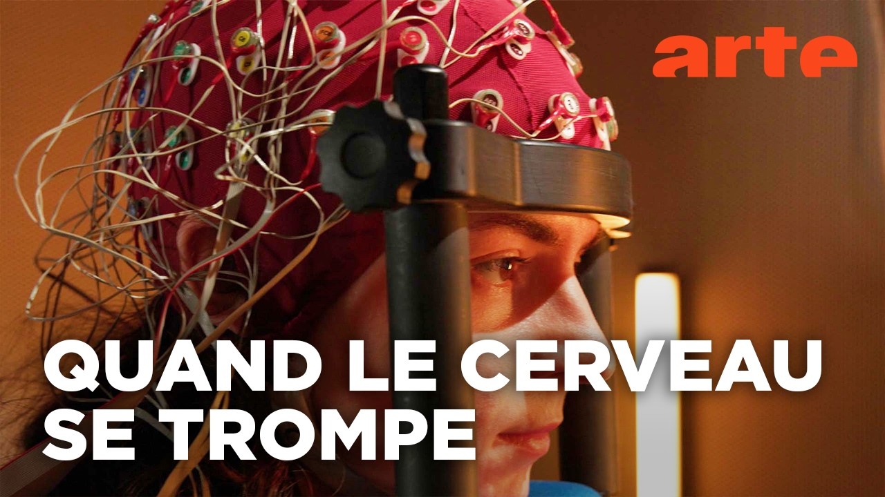 Notre cerveau nous joue des tours (1/2) | Moi et mon cerveau | ARTE