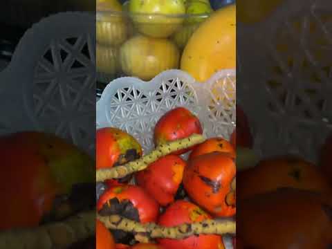 Raíces y Sabores: historias de vida, tradiciones y memorias campesinas/ROLDANILLO VALLE