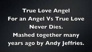 True Love Angel - Paul Van Dyk Vs Kelly Llorenna.