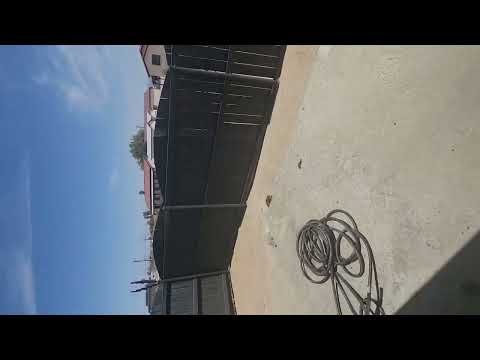 Mesquite-6605 - Video 2 of 2