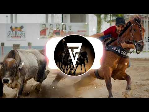 PAREDÃO DE VAQUEIRO | Ousadia de Vaqueiro - Caninana & Tarcísio do Acordeon